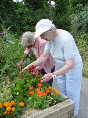 Gardening