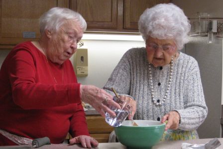 Cooking at Thornwald Home